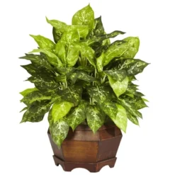 Nearly Natural 24-in Variegated Dieffenbachia W/Large Hexagon Silk Plant
