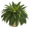Nearly Natural 22” Boston Fern Artificial Plant In Sandstone Planter -Nearly Natural GUEST 00d8b37a 222f 4cc7 91fd 8eedf7dedef1