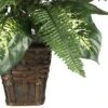 26" X 26" Artificial Zebra Plant With Wicker Pot - Nearly Natural -Nearly Natural GUEST 020fcbba 242a 45b5 9634 939269a8f040