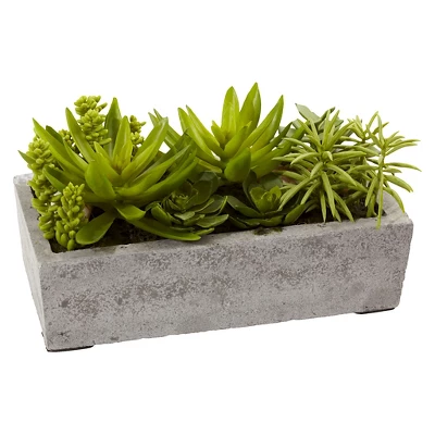 Nearly Natural Succulent Garden With Concrete Planter 4 Nearly Natural Succulent Garden With Concrete Planter - Image 2