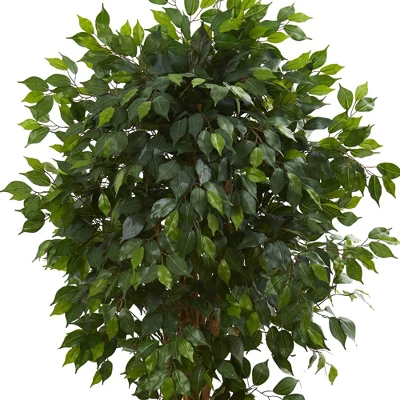 66" Artificial Ficus Tree In Pot Black - Nearly Natural 3 66" Artificial Ficus Tree In Pot Black - Nearly Natural