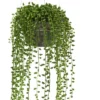 21" X 6" Artificial String Of Pearl Plant In Hanging Basket - Nearly Natural 1 21" X 6" Artificial String Of Pearl Plant In Hanging Basket - Nearly Natural -Nearly Natural GUEST 0b0565d1 c847 42a9 aa0e 3f722671cb5a