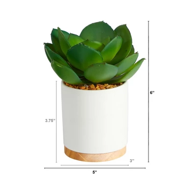 Nearly Natural 6-in Succulent Artificial Plant In White Ceramic Planter 3 Nearly Natural 6-in Succulent Artificial Plant In White Ceramic Planter