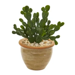 11" X 11" 2pc Artificial Cactus Succulent Plant In Ceramic Vase Set - Nearly Natural