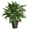 Nearly Natural 31-in Silver King W/Basket Silk Plant -Nearly Natural GUEST 1b968b7f 3945 4c18 867d 2fcad01f0c0b