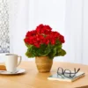11" Indoor/Outdoor Geranium Artificial Plant In Ceramic Planter Red - Nearly Natural 1 11" Indoor/Outdoor Geranium Artificial Plant In Ceramic Planter Red - Nearly Natural -Nearly Natural GUEST 219a92fa 793c 4ec0 a0d5 bb3213d78fe1