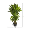 Nearly Natural 3-ft Corn Stalk Dracaena Artificial Plant (Real Touch) -Nearly Natural GUEST 249a6cca 38a1 4a54 ba18 5aa9e8b8ee67