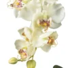 18" X 16" Artificial Phalaenopsis Orchid With Glass Vase White - Nearly Natural -Nearly Natural GUEST 26eb07a2 893e 4e84 92fa 053ed4e429ee