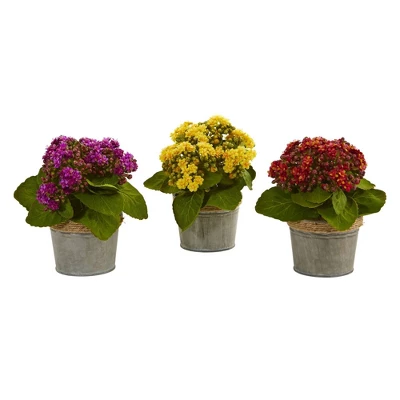 9" X 8" 3pc Artificial Kalanchoe Arrangement In Pot Set - Nearly Natural 6 9" X 8" 3pc Artificial Kalanchoe Arrangement In Pot Set - Nearly Natural - Image 4