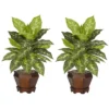 Nearly Natural Dieffenbachia W/Wood Vase Silk Plant (Set Of 2) 2 Nearly Natural Dieffenbachia W/Wood Vase Silk Plant (Set Of 2) -Nearly Natural GUEST 2938dfa9 d807 42f4 86e1 0a0173e1dfea 1