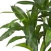 3.5ft Artificial Dracaena Silk Plant In Pot - Nearly Natural -Nearly Natural GUEST 3747ecc1 c56c 4801 891b 8b0e8c17ffa3