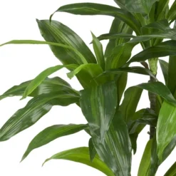 3.5ft Artificial Dracaena Silk Plant In Pot - Nearly Natural