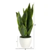 Nearly Natural 16-in Sansevieria Artificial Plant 2 Nearly Natural 16-in Sansevieria Artificial Plant -Nearly Natural GUEST 381db4ff be0e 4b48 9fd3 f8a0c4b4fa18