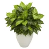 Nearly Natural 28-in Dieffenbachia Artificial Plant In White Planter 1 Nearly Natural 28-in Dieffenbachia Artificial Plant In White Planter -Nearly Natural GUEST 39013000 f999 473e b7b8 56ee54fba254