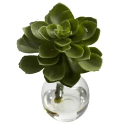 5.5" X 4" 3pc Artificial Succulent Arrangements Set - Nearly Natural 13 5.5" X 4" 3pc Artificial Succulent Arrangements Set - Nearly Natural -Nearly Natural GUEST 394c3119 ec08 4123 9445 5e94041e00f4