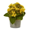 9" X 8" 3pc Artificial Kalanchoe Arrangement In Pot Set - Nearly Natural 2 9" X 8" 3pc Artificial Kalanchoe Arrangement In Pot Set - Nearly Natural -Nearly Natural GUEST 39b6e0e8 ff6c 4fd1 964f 68d1ced056bf