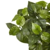 Nearly Natural 16-in Pothos Artificial Plant (Set Of 6) -Nearly Natural GUEST 3cba989f 5c4c 4d61 b8bb 8e0665f83bcd