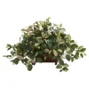 Nearly Natural Hoya 16-in Artificial Plant In Decorative Planter 2 Nearly Natural Hoya 16-in Artificial Plant In Decorative Planter -Nearly Natural GUEST 3cbb63d8 e8bb 40d5 8056 08f14c0ce002