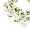 24" Artificial Cherry Blossom Wreath - Nearly Natural 2 24" Artificial Cherry Blossom Wreath - Nearly Natural -Nearly Natural GUEST 3f9f8865 7054 4ff5 8e6e 8cd087c33a78