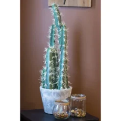 Nearly Natural Decorative Cactus Garden With Cement Planter -Nearly Natural GUEST 42d5a0d1 1da1 44a0 917c 04c40d189bde