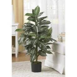 36" X 20" Artificial Zebra Silk Plant In Wicker Pot - Nearly Natural -Nearly Natural GUEST 478c25d3 4df2 4c9b 822f 27370ee3eacb