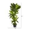 Nearly Natural 3-ft Dracaena Artificial Plant (Real Touch) -Nearly Natural GUEST 4a3e7812 33c8 4e82 83eb 3a63fbd304fd
