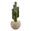 Nearly Natural 2.5-ft Cactus Artificial Plant In Bowl Planter 2 Nearly Natural 2.5-ft Cactus Artificial Plant In Bowl Planter -Nearly Natural GUEST 4b1bc800 0bfb 48bd 8334 2b852bab0333