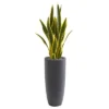 Nearly Natural 3-ft Sansevieria Artificial Plant In Gray Bullet Planter -Nearly Natural GUEST 4b8a8c48 747b 4419 90a7 644a3cff71e8