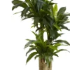 Nearly Natural 4.5' Cornstalk Dracaena Silk Plant With Vase (Real Touch) -Nearly Natural GUEST 4dd50349 a481 4644 a835 5fbdec16fe6b