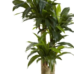 Nearly Natural 4.5' Cornstalk Dracaena Silk Plant With Vase (Real Touch)