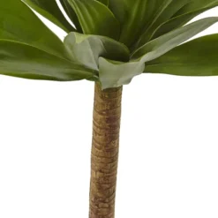 Agave Stem Plant - (32?) 11 Agave Stem Plant - (32?) -Nearly Natural GUEST 4fed3b38 11dc 430e 8b43 b65b0dcc2a8f