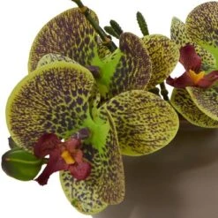 7" X 6.5" 3pc Artificial Phalaenopsis Orchid Arrangement In Ceramic Pot Set - Nearly Natural