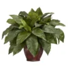 Nearly Natural 23-in Birdsnest Fern W/Decorative Vase Silk Plant -Nearly Natural GUEST 5292ea2b c3a6 408d 94d3 153b44e25b9a