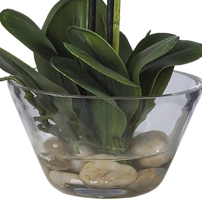 18" X 16" Artificial Phalaenopsis Orchid With Glass Vase White - Nearly Natural 4 18" X 16" Artificial Phalaenopsis Orchid With Glass Vase White - Nearly Natural - Image 2