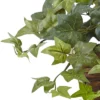 Puff Ivy In Ledge Basket - Nearly Natural -Nearly Natural GUEST 536cf829 194f 47ad a9ae 77d9acb77bb2