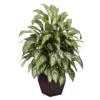 Nearly Natural Silver Queen W/Decorative Planter Silk Plant 38" 1 Nearly Natural Silver Queen W/Decorative Planter Silk Plant 38" -Nearly Natural GUEST 59f61cfe 6e42 4346 a8f0 c25f1bcf0e4d