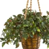 30" Mini Melon Artificial Plant In Hanging Basket - Nearly Natural 2 30" Mini Melon Artificial Plant In Hanging Basket - Nearly Natural -Nearly Natural GUEST 6215168e de19 439b 976f d778cf24e0f8