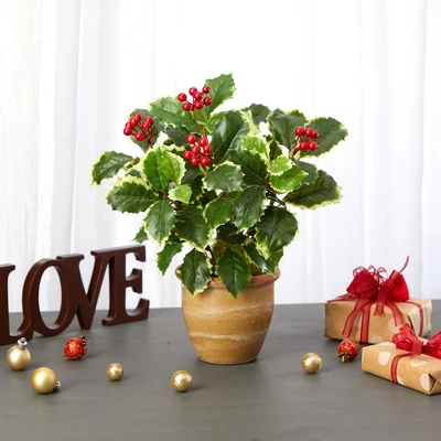 Nearly Natural 14-in Variegated Holly Leaf Artificial Plant In Ceramic Planter (Real Touch) 4 Nearly Natural 14-in Variegated Holly Leaf Artificial Plant In Ceramic Planter (Real Touch) - Image 2