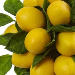 Lemon Ball Topiary Arrangement - Yellow