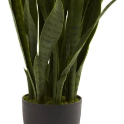 Nearly Natural Sansevieria With Black Planter 9 Nearly Natural Sansevieria With Black Planter -Nearly Natural GUEST 719febc9 f088 4073 9b7a 5b9f27b56d6b