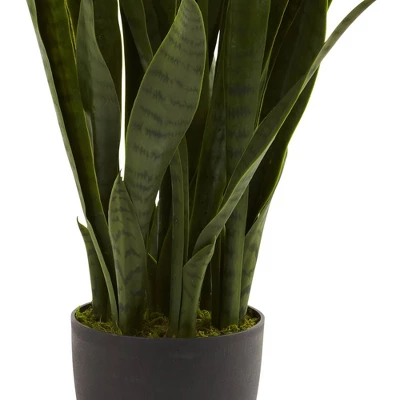 Nearly Natural Sansevieria With Black Planter 6 Nearly Natural Sansevieria With Black Planter - Image 4