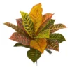 Nearly Natural 17-in Garden Croton Artificial Plant (Real Touch) (Set Of 6) 2 Nearly Natural 17-in Garden Croton Artificial Plant (Real Touch) (Set Of 6) -Nearly Natural GUEST 71dc4778 c567 40a9 82c4 e5e1574bdc0e