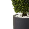 50" Boxwood Topiary With Gray Cylindrical Planter - Nearly Natural -Nearly Natural GUEST 74e59759 3762 493a 8560 ed79dac11e66