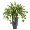 Nearly Natural 33-in Spider Artificial Plant In Cylinder Planter 2 Nearly Natural 33-in Spider Artificial Plant In Cylinder Planter -Nearly Natural GUEST 7ae799dd f88f 46a9 b505 f4c8323123d7