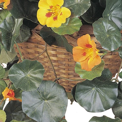 29" X 22" Artificial Nasturtium In Hanging Basket Yellow - Nearly Natural 3 29" X 22" Artificial Nasturtium In Hanging Basket Yellow - Nearly Natural