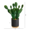 Nearly Natural 10-in Cactus Succulent Artificial Plant In Planter 2 Nearly Natural 10-in Cactus Succulent Artificial Plant In Planter -Nearly Natural GUEST 7c4f3b97 ddec 45e5 9858 82c857b3b11d