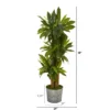 Nearly Natural 58-in Corn Stalk Dracaena Artificial Plant In Black Embossed Tin Planter (Real Touch) 2 Nearly Natural 58-in Corn Stalk Dracaena Artificial Plant In Black Embossed Tin Planter (Real Touch) -Nearly Natural GUEST 7dd57289 2eba 44e1 9f38 5eb2eb36665b