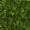 20" X 20" Lush Mediterranean Artificial Fern Wall Panel - Nearly Natural -Nearly Natural GUEST 84be29df e828 4535 97c4 90c54f7c8c54