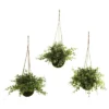 Nearly Natural Eucalyptus, Maiden Hair & Berry Hanging Basket (Set Of 3) 2 Nearly Natural Eucalyptus, Maiden Hair & Berry Hanging Basket (Set Of 3) -Nearly Natural GUEST 8e85dacd 86d9 43ed aede 232c5ebcd9f2