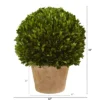 Nearly Natural 15-in Boxwood Ball Preserved Plant In Planter